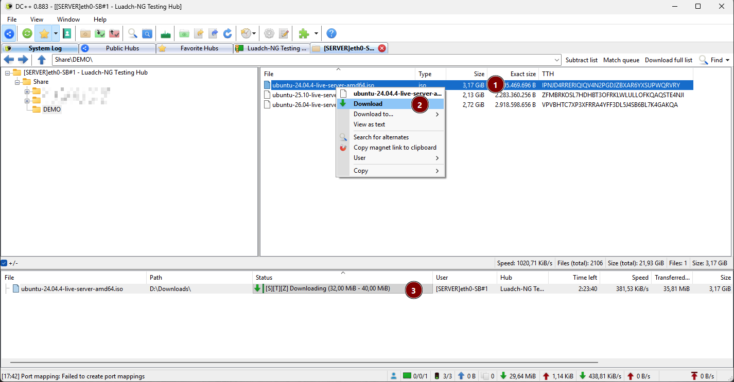 Downloading from a file list in DC++